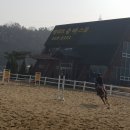 엘리트 승마스쿨 이미지