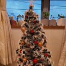 다원한의원 이미지