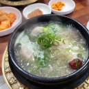 야탑골한방삼계탕 이미지