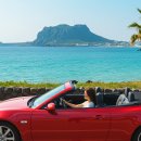 푸른신창 이미지