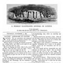 Being Fore 이미지