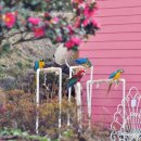 수공목장 이미지