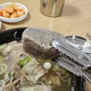 [안동맛집] 안동에서 따듯하고 튼실한 갈비탕을 먹을 수 있는 곳 &#34;안동 고박사냉면(고기박사냉면)&#34;