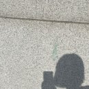 머리할라꼬 이미지