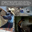 대구장애인인권연대 이미지