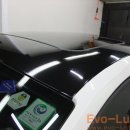 Evo-Luster 이미지