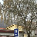 진안-진안-비상-10 | 담마코리아 위빳사나 명상 10일 코스 후기 1 (신청 방법 / 코스 일정 /준비물 등)