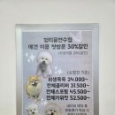 멍식탁 | 연수동 강아지미용 애견미용 멍티움 내돈내산 방문후기(첫방문할인 가격) 연수동 애견동반맛집 농가의식탁