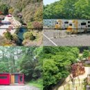 성수산 왕의숲 국민여가캠핑장 이미지