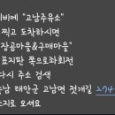 오형제 화장실 이미지