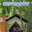춘천자연숲휴양림 글램핑 숲속 한가운데 서울근교 가성비 글램핑 추천