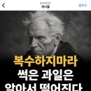 심수창 인스타 봐 ㅋㅋㅋㅋㅋ 이미지