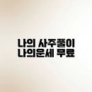 나의 사주풀이 나의운세 무료