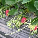 원동기사 이미지