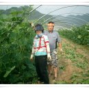 진규농장 이미지