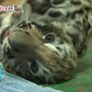 미호농장 이미지