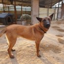 새동네농장 이미지