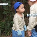 정우배농장 네이버블로그