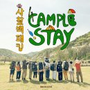 색다른 불교 만나는 ‘캠플스테이’가 뜬다
