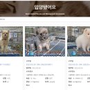 사단법인 한국동물구조관리협회 이미지