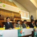 가교세