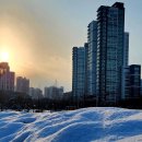 개발부담금 세종 행정사 사무소 이미지