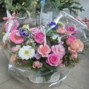 양재꽃시장 &lt;플라워스토리&gt; 꽃바구니 후기🌼