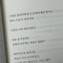 아라아라영어