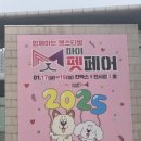 마이펫돌 | [일산킨텍스]마이펫페어 2025 일산/펫페어 구경 후기