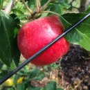 지성농장 이미지