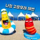 씨유 감포파도소리점 | 경주 감포 나정 해수욕장 물놀이장 평상 샤워 나정고운모래해변