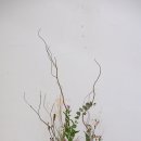 병렬형(parallel) 이미지