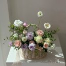 고령꽃집 | [대구] 부모님 첫인사 선물 후기 - 범어동 앙플라워, 용산동 고령참한우