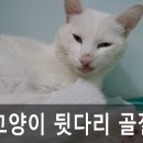 우신정형외과 이미지