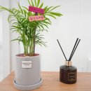 미더베스트 여의도점 이미지