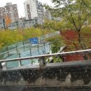 가야감고개공원작은도서관 이미지