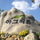 대동로 이미지