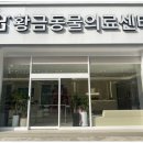 대구동물병원