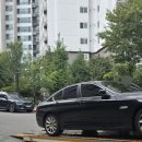 비비게러지 이미지