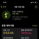 청초화 이미지