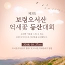 오서산 양송이