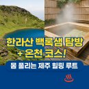 한라산 백록샘 탐방 + 온천 코스! 몸 풀리는 제주 힐링 루트 ♨️