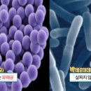 프로젝트제이