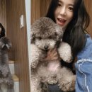 엘페로2 네이버블로그