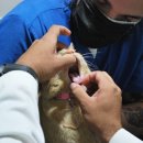 사송 동물 메디컬센터 이미지