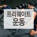 웨이트프리