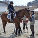 유진로축산