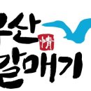 양산갈매기