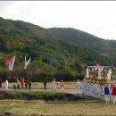 보광이네 이미지