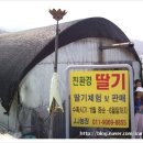 제이제이농원